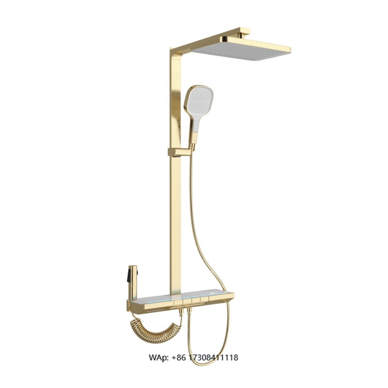 Hand-held rain shower head wit - High Pressure Shower Head Handheld review and price