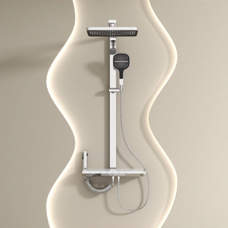 Hand-held rain shower head wit - High Pressure Shower Head Handheld review and price