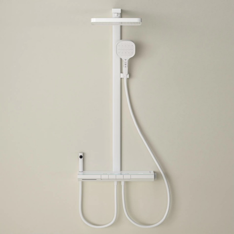 Hand-held rain shower head wit - High Pressure Shower Head Handheld review and price